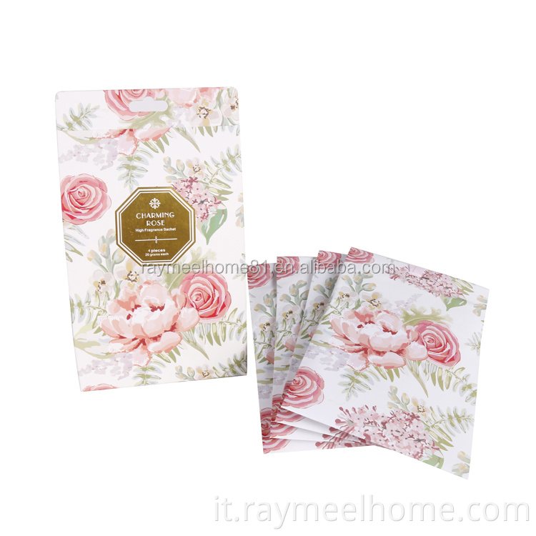 Nuovo design Design Wear Warse Wardrobe Dressato Scusta per cassetti